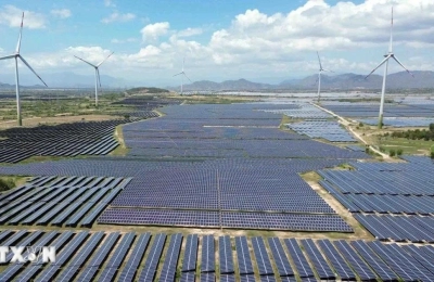GỠ VƯỚNG KHUNG THỂ CHẾ ĐẦU TƯ TÀI CHÍNH CHUYỂN ĐỔI XANH