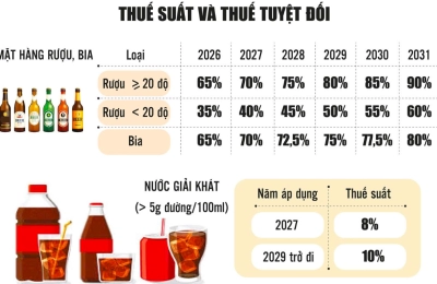 LUẬT THUẾ TIÊU THỤ ĐẶC BIỆT 2025: THÚC ĐẨY XU HƯỚNG TIÊU DÙNG XANH VÀ BỀN VỮNG TẠI VIỆT NAM