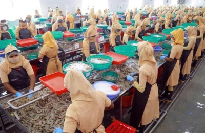YÊU CẦU MỚI VỀ NĂNG LỰC CẠNH TRANH ĐỐI VỚI HÀNG VIỆT NAM XUẤT KHẨU